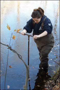 Erin Burns, a presenter at this year's Academic Excellence Conference,   takes sediment samples from the Ashuelot River.