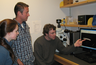 Biology students Brad Stubenhaus (at the computer) and Emily Neverett working with Dr. Jason Pellettieri on a INBRE-funded research project.
