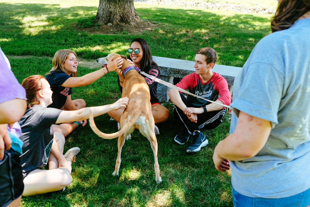 PreServe students volunteer at Fast Friends Greyhound Rescue in Swanzey. Photo by Will Wrobel.