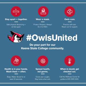 Owls United image
