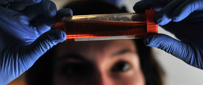 Student analyzing test tube
