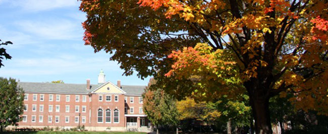 Fisk in the fall