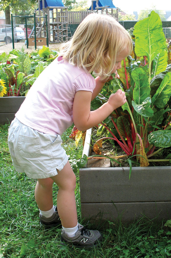 Early Sprouts