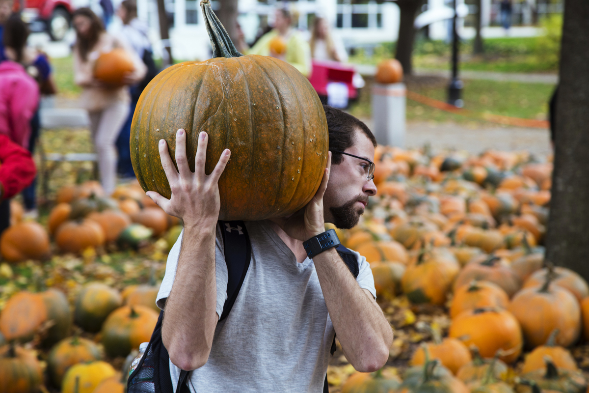 Pumpkin Lobotomy 2013