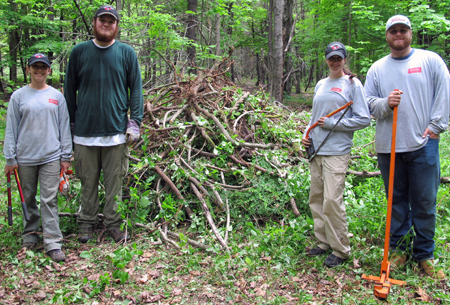 Left to right: Environmental Studies students Tara Pratt, Daniel Broderick, Marisa Morrison, and Matt Cecchetelli beside the pile of invasive plants that they have removed near a trail on Harris Center land.