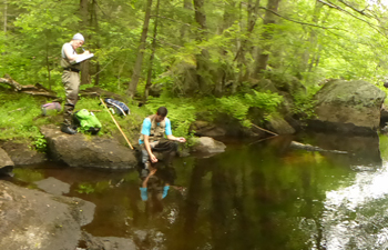 Environmental Studies student researchers collecting data streamside.