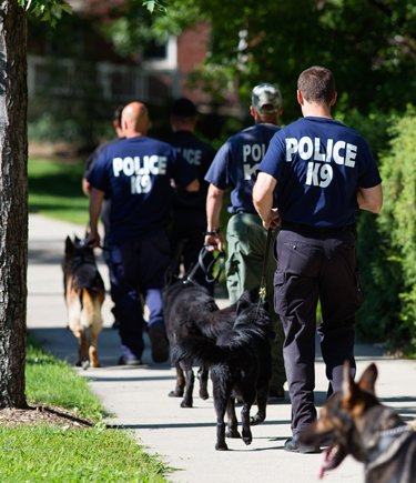 Some very smart dogs were here to further their education. (photo by Will Wrobel)