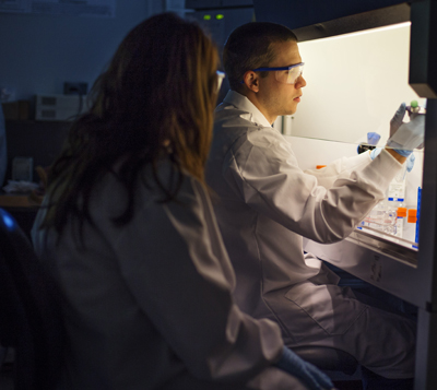 Dr. Traviss' research associate Nathan Martin and Tara Pratt feeding epithelial lung cells in the lab. (Will Wrobel photo)