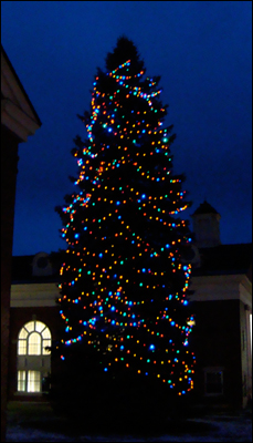 New Holiday Tree Lights Save Energy and Money
