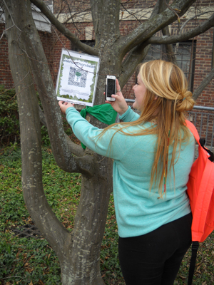 EcoRep Vic Drake scans the barcode for this American Hornbeam tree, one of the 20 trees on the self-guided tree tour.