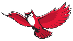 Flying Owl