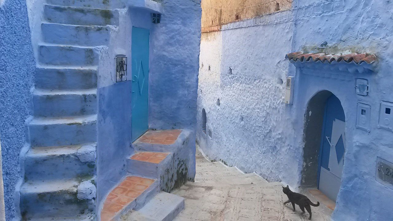 The Blue City (Chefchaouen, Morocco) - The entire city was this amazing blue color. The city consisted of narrow alleyways, stairways, cats, and everything blue. Seeing the world through a blue lens, was an amazing way to live, even just for a day. (Courtney Parsons, Spanish Studies Abroad - Seville, Spain)