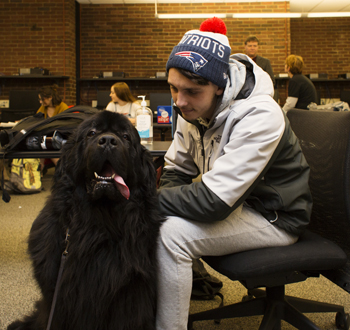 Representatives from Monadnock Humane Society visit Prof. Timney's PR class to inspire his students to do their best marketing work.