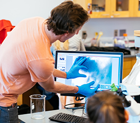 Dr. Whittemore’s researchers examining larvae under a microscope.