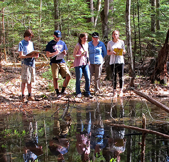 The team, with Karen Seaver, conducting research at a vernal pool. (Photo by Brett Amy Thelen)