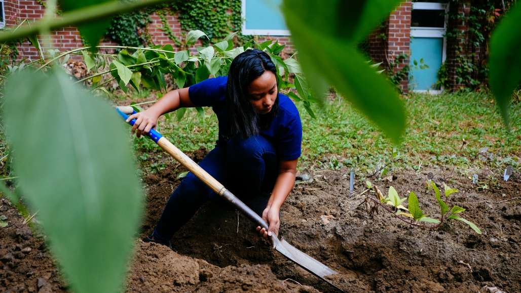 Permaculture project in the Science Center courtyard