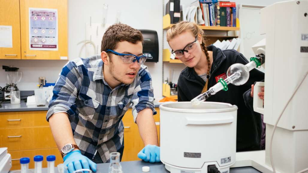 Students in labratory