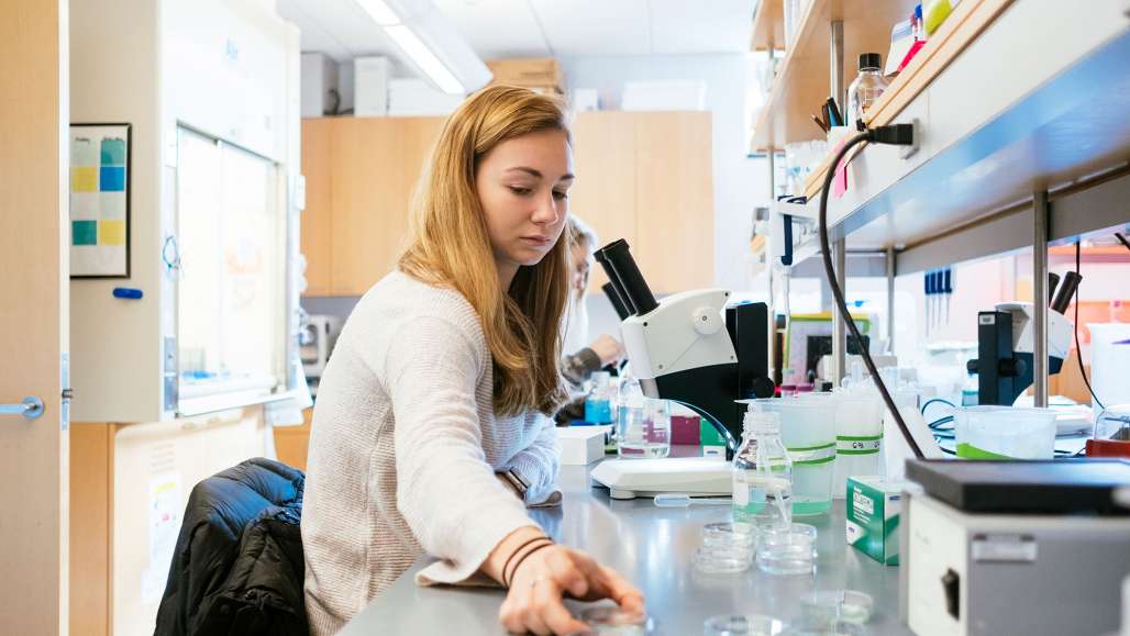 Undergraduate Biology Students Conduct Research Through NIH and NSF Grants