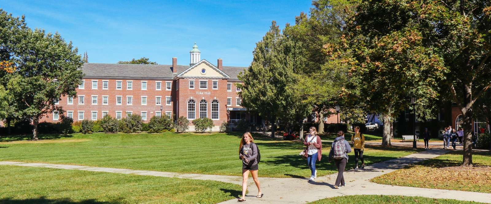 Quad in the spring