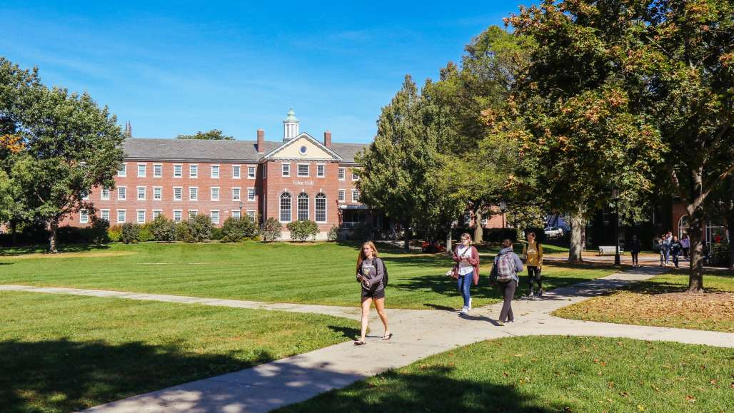 Quad in the spring