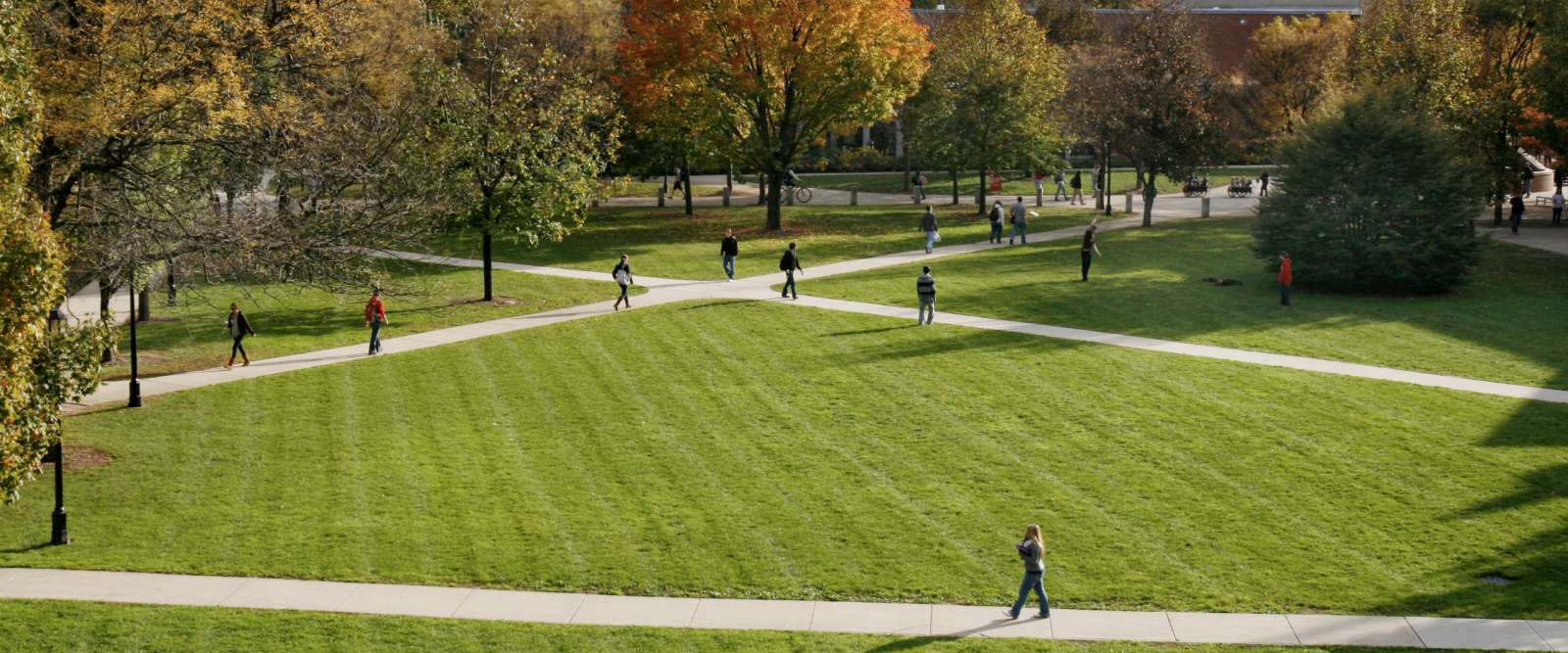 Fall on the quad