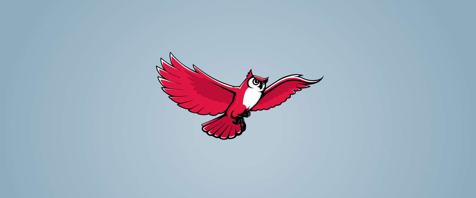 Illustrated owl flying
