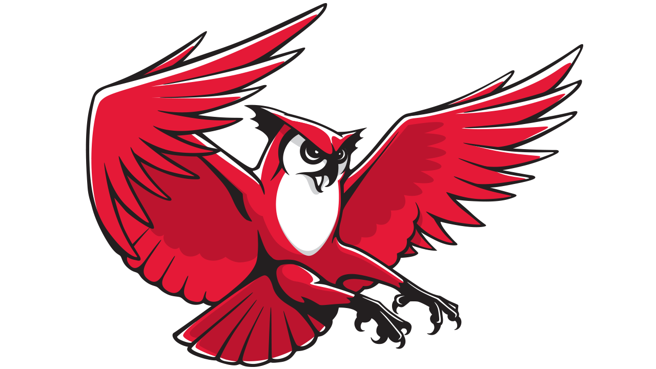 Athletic Owl