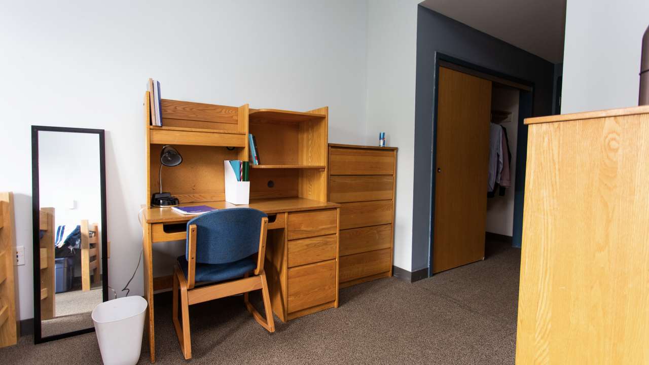 Pondside I double occupancy room, facing desk.