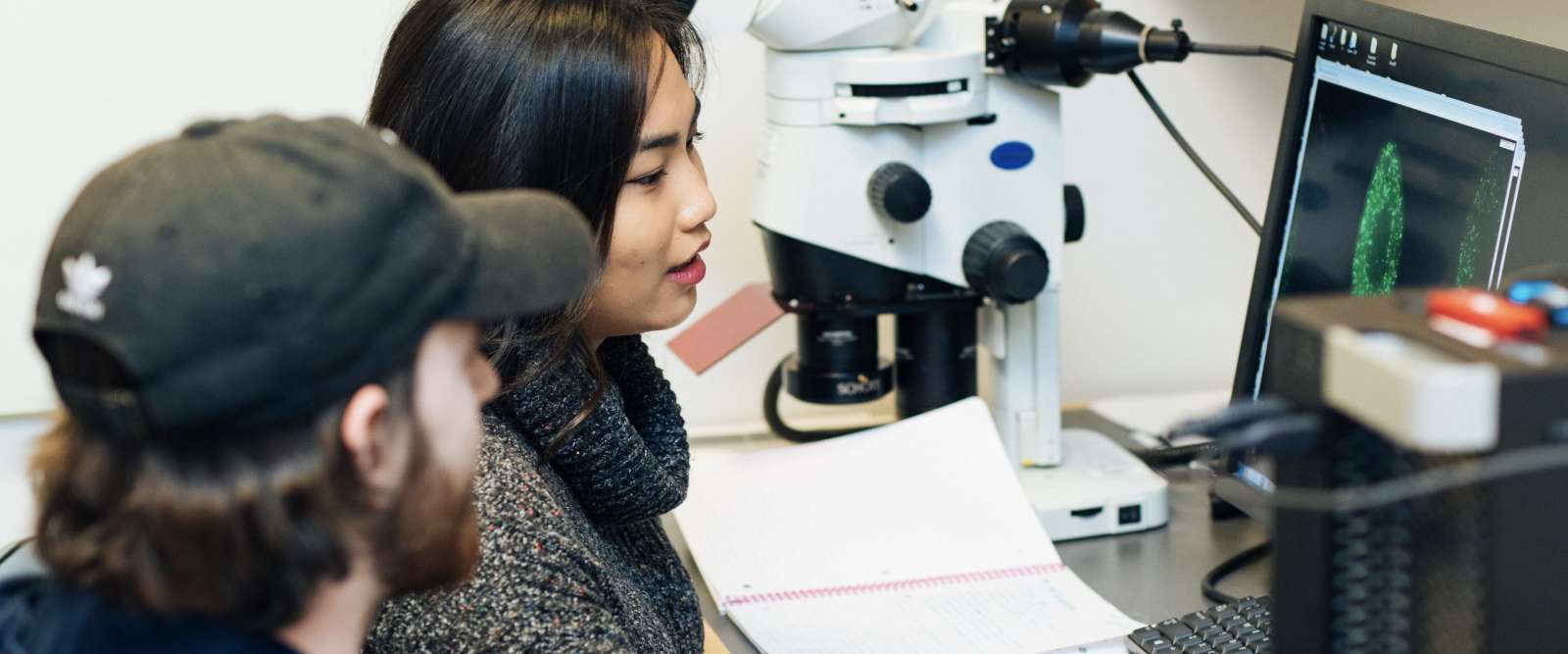 Students use computer in Pelletiere Lab