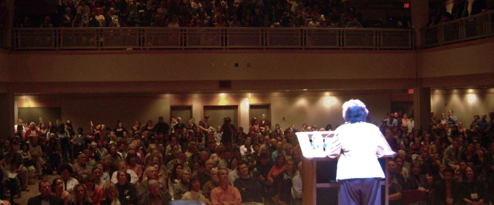 Speaker at podium facing crowd