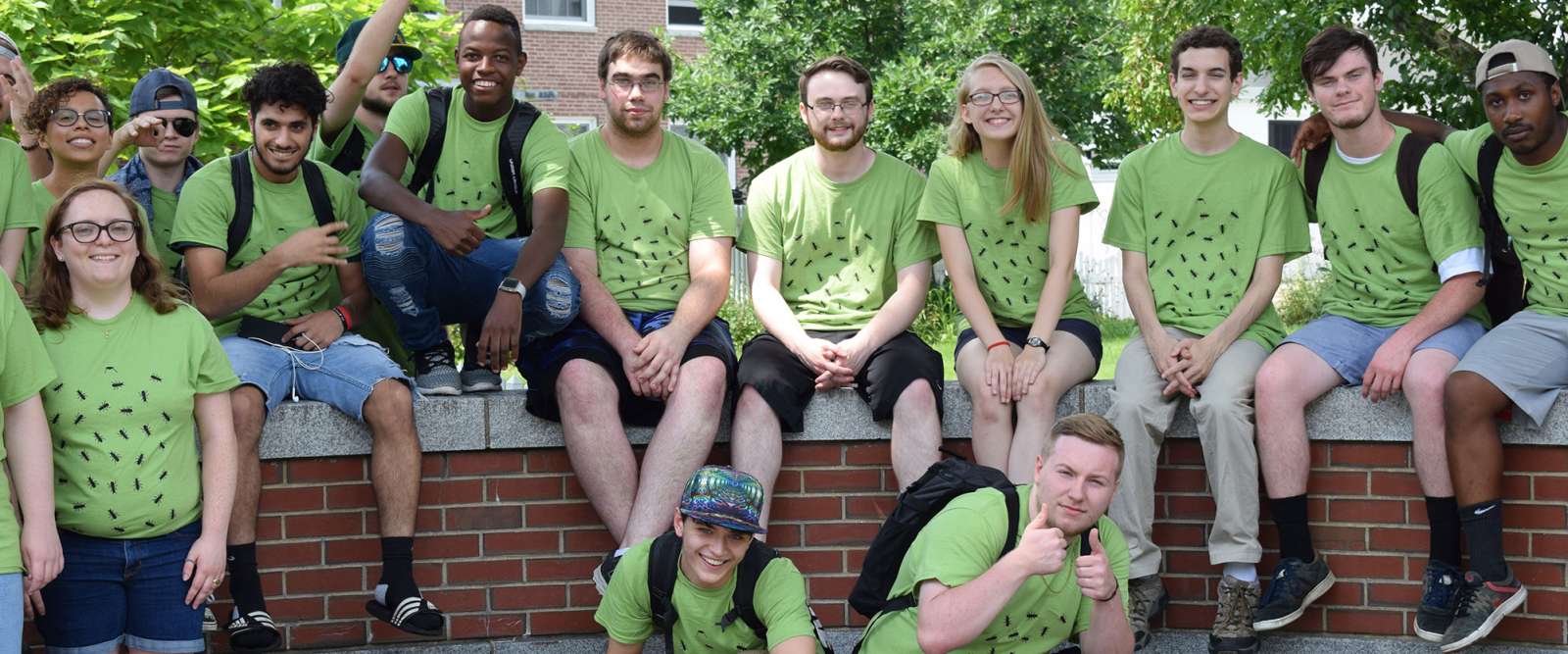 Keene State Links Program