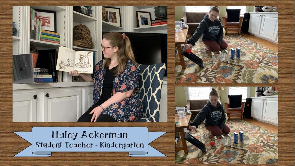 Haley Ackerman collage