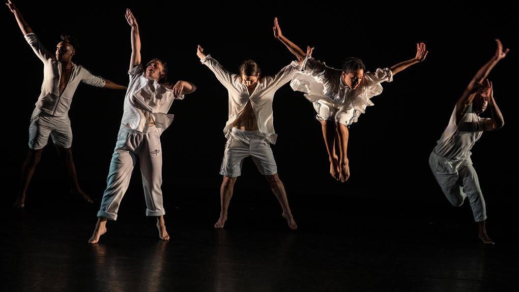 David Dorfman Dance