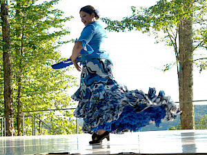 Flamenco Dance Project