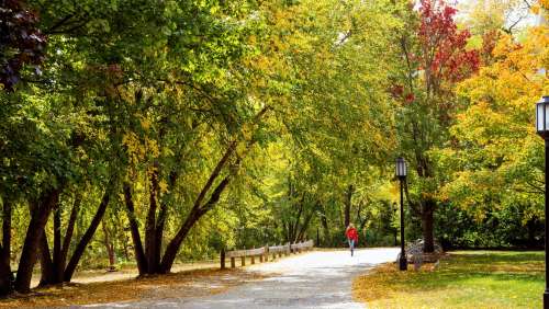 Student walking on campus