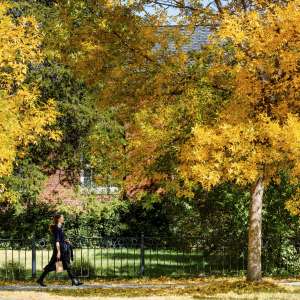 Fall campus