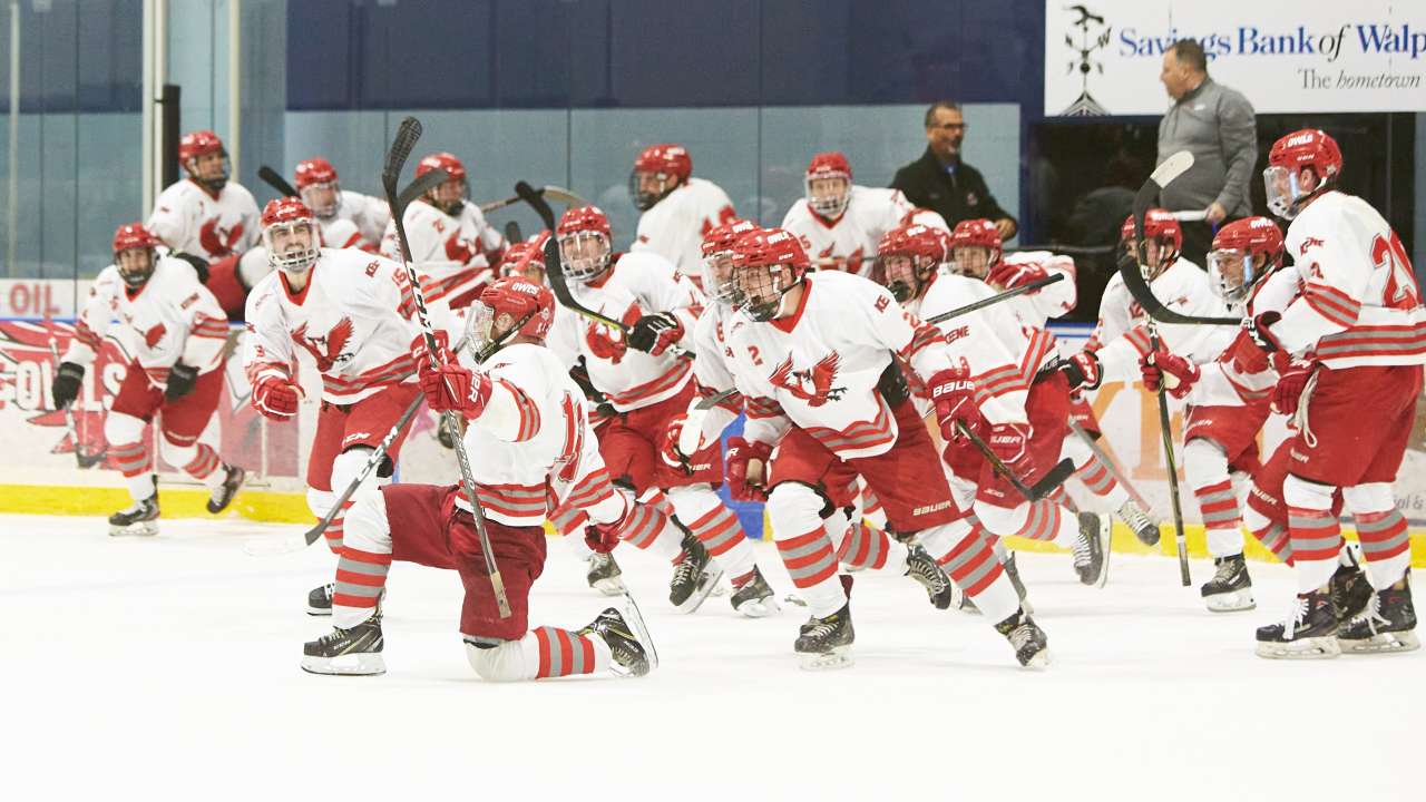 Men's ice hockey celebrates a on the ice after a win