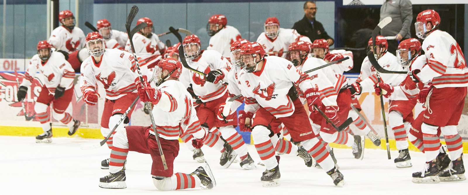 Men's ice hockey celebrates a on the ice after a win