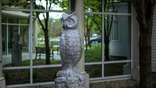 A stone owl statue sits outside the Alumni Center