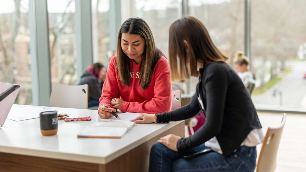 Two female students study together in a common area of the LLC