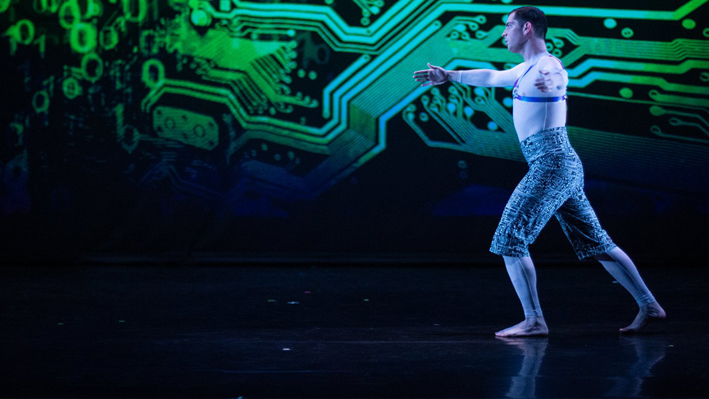 Curious Incident of the Dog in the Nighttime