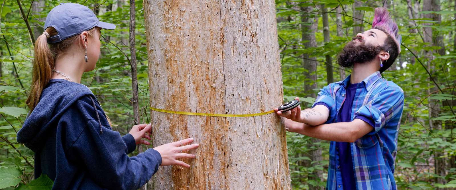 Harris Center Interns Forest Survey