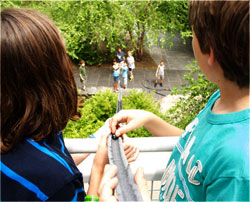 Kids experiment with engineering principles via a marble race they constructed in the Putnam Science Center courtyard. Photo by Casey August.