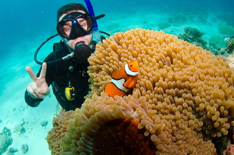 Reef