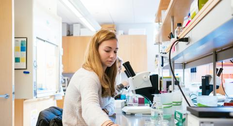 Undergraduate Biology Students Conduct Research Through NIH and NSF Grants