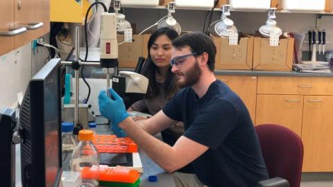 Biology student at Keene State College